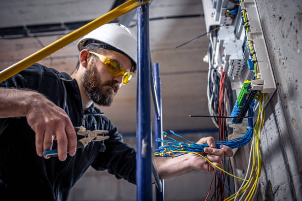 Best Electric Panel Repair  in Lliams Bay, WI